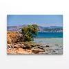 A Rocky Beach with a Tree   Print 100% Australian Made 90 x 60cm  (Stretched)