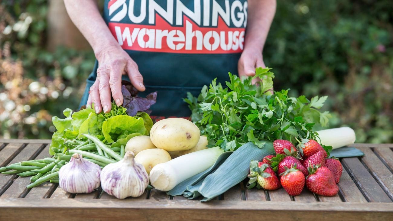 Harvest of various fruits and vegetables including garlic, strawberries, potatoes and beans