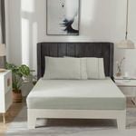 Ramesses 1200TC Egyptian Cotton Fitted Sheet Combo Set