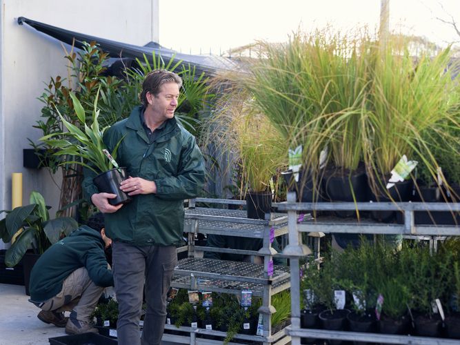 Trade Service - Commercial Greenlife - Image Gallery - 6