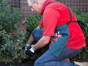 A person tends to the garden.