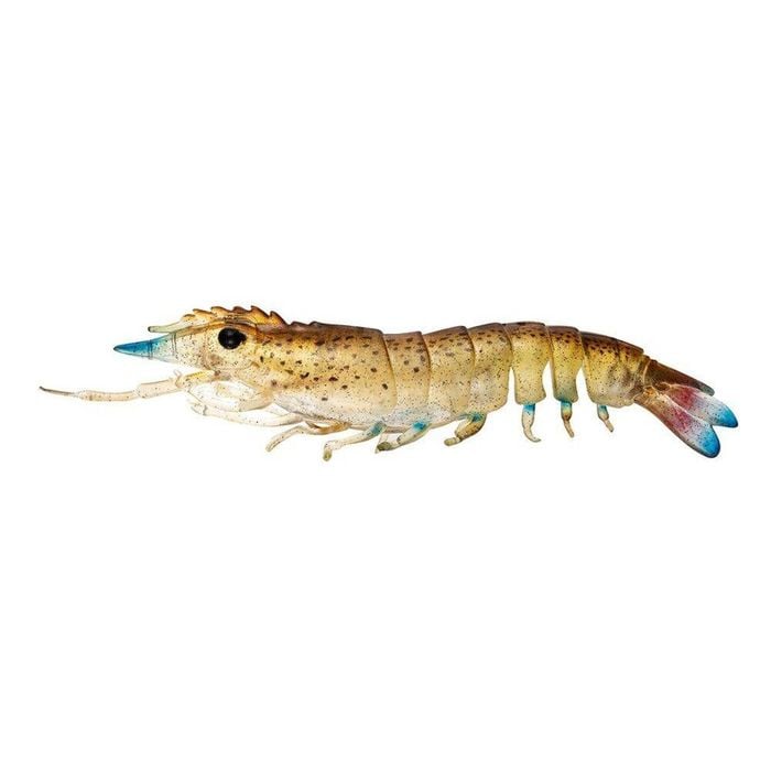 Nomad Design Live Ops Sumo Shrimp UnRigged 5" Soft Plastic Fishing Lure Speckled Stalker