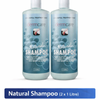 Dermcare Natural Shampoo 1 Litre x 2