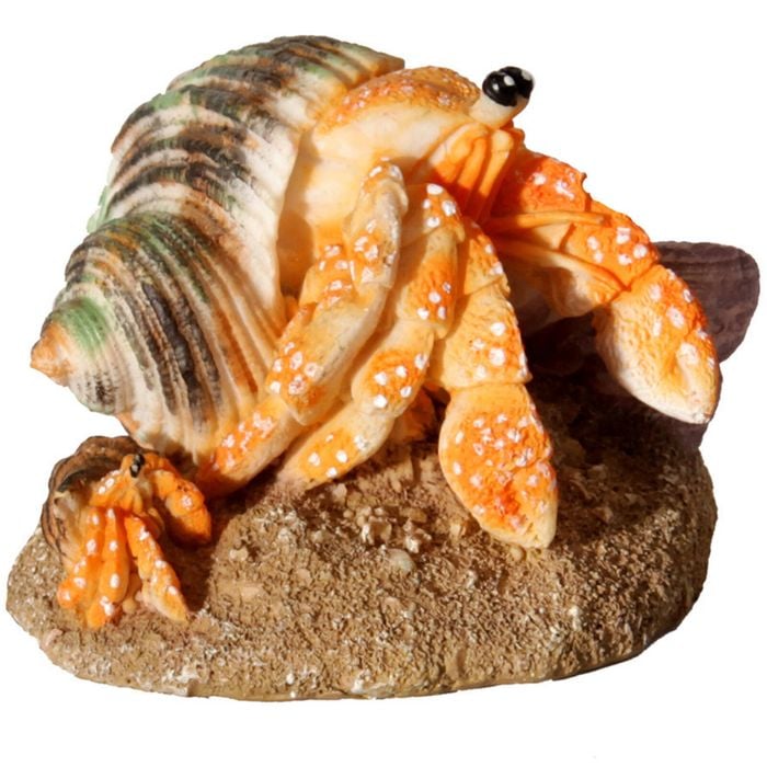 Aqua One Hermit Crab Mother & Baby Orange Ornament 8.1x6.7x5.8cm (37180or)
