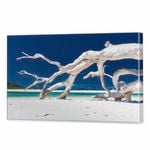 Whitehaven Driftwood | 75 x 50cm Stretched Canvas Print