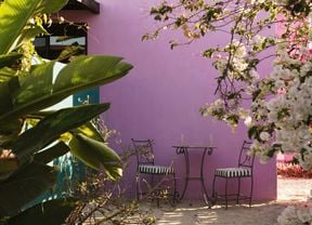 View of an outside purple wall with a metal bistro setting, surrounded by plants and a flowering tree.