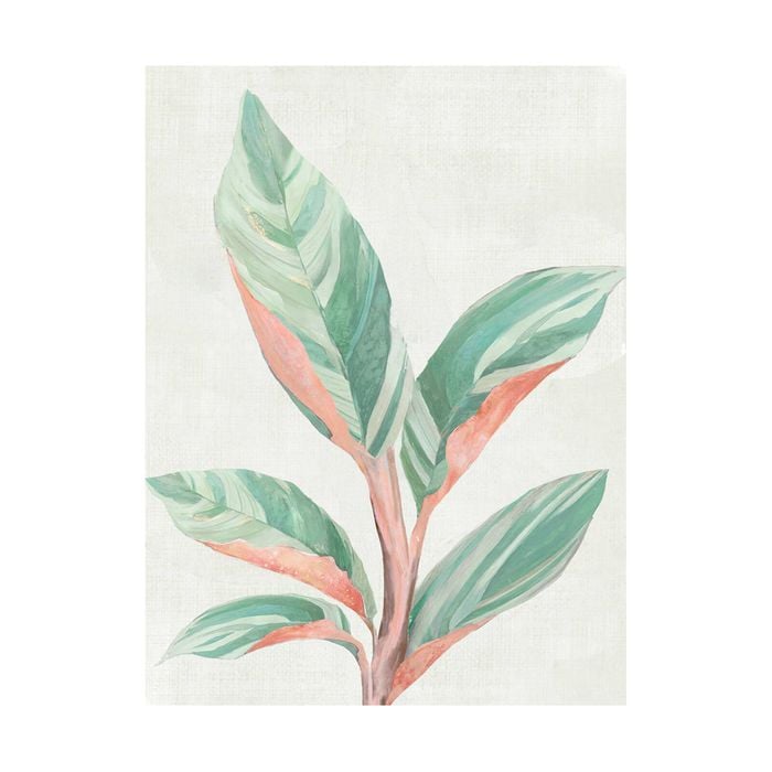 Artey | Ginger Plant II - Stretched Canvas - Stretched Canvas - 90 x 120cm
