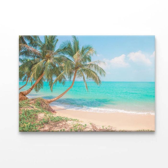Tropical Beach with Coconut Palm Tree  Print 100% Australian Made 150 x 100cm  (Acrylic)