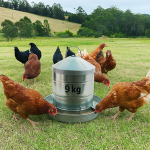 Metal Chicken Feeder 9kg - Galvanised Anti-Waste Poultry Feeder