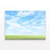Grassy Field and Blue Sky  Print 100% Australian Made 75 x 50cm  (Stretched)