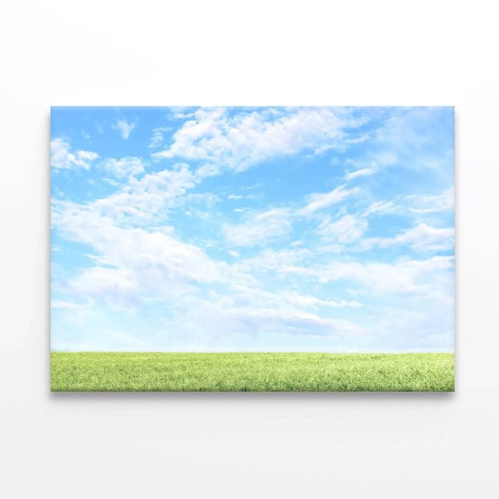 Grassy Field and Blue Sky  Print 100% Australian Made 75 x 50cm  (Stretched)