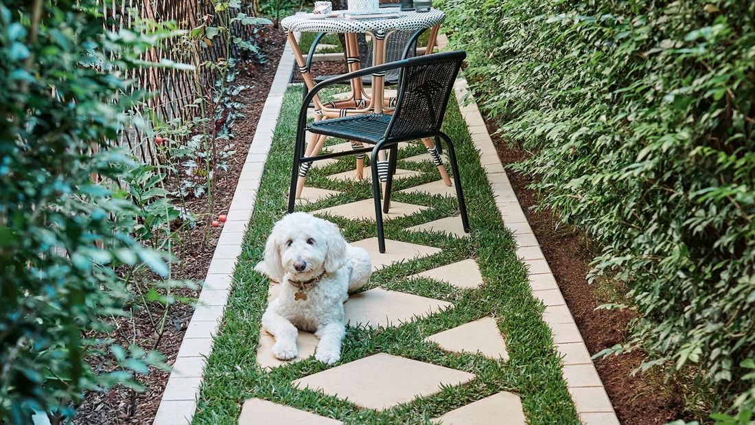 A dog sitting on a completed stepping stone pathway with a small dining setting.