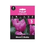 Bloomin Bulbs Tulip Jumbo Pink - Tulipa hybrid - 5 Pack