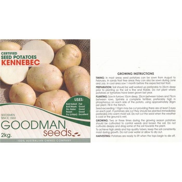 1kg Kennebec Potato Plant Seed - Solanum tuberosum