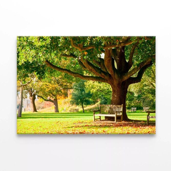 Kew Gardens Park  Print 100% Australian Made 90 x 60cm  (Stretched)