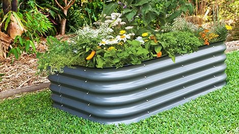 Corrugated planer box containing flowers and vegetables