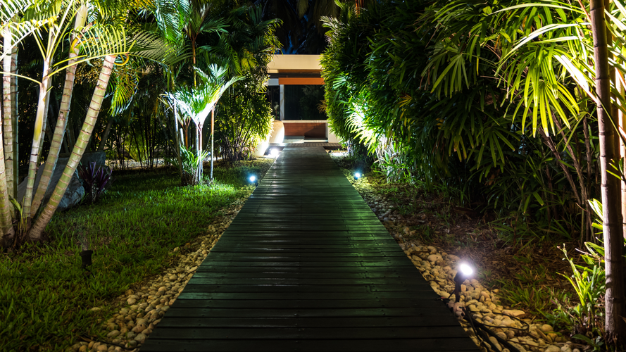 outdoor decking with tress and lighting