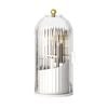 Catzon Makeup Brush Holder Organizer with Clear Lid