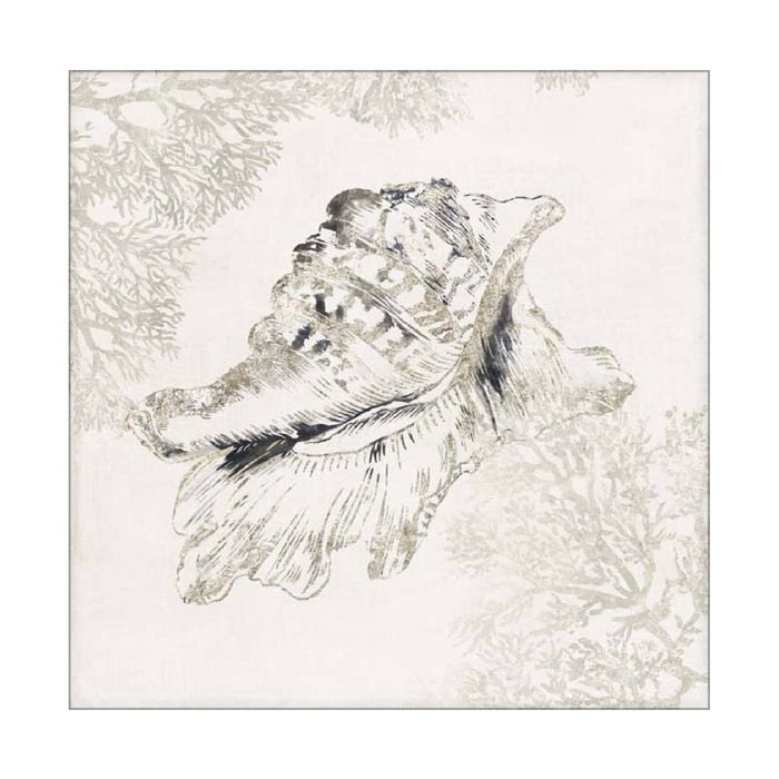 Artey | Silver Shell I - Stretched Canvas - Stretched Canvas - 84 x 84cm