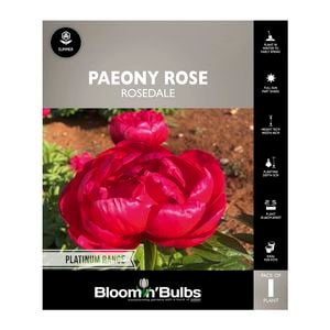 Bloomin' Bulbs Paeony Rose Rosedale - 1 Pack