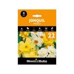 Bloomin' Bulbs Jonquil Mixed - 22 Pack