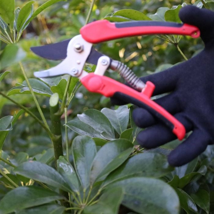 Darlac Compound Action Pruner - Bunnings Australia