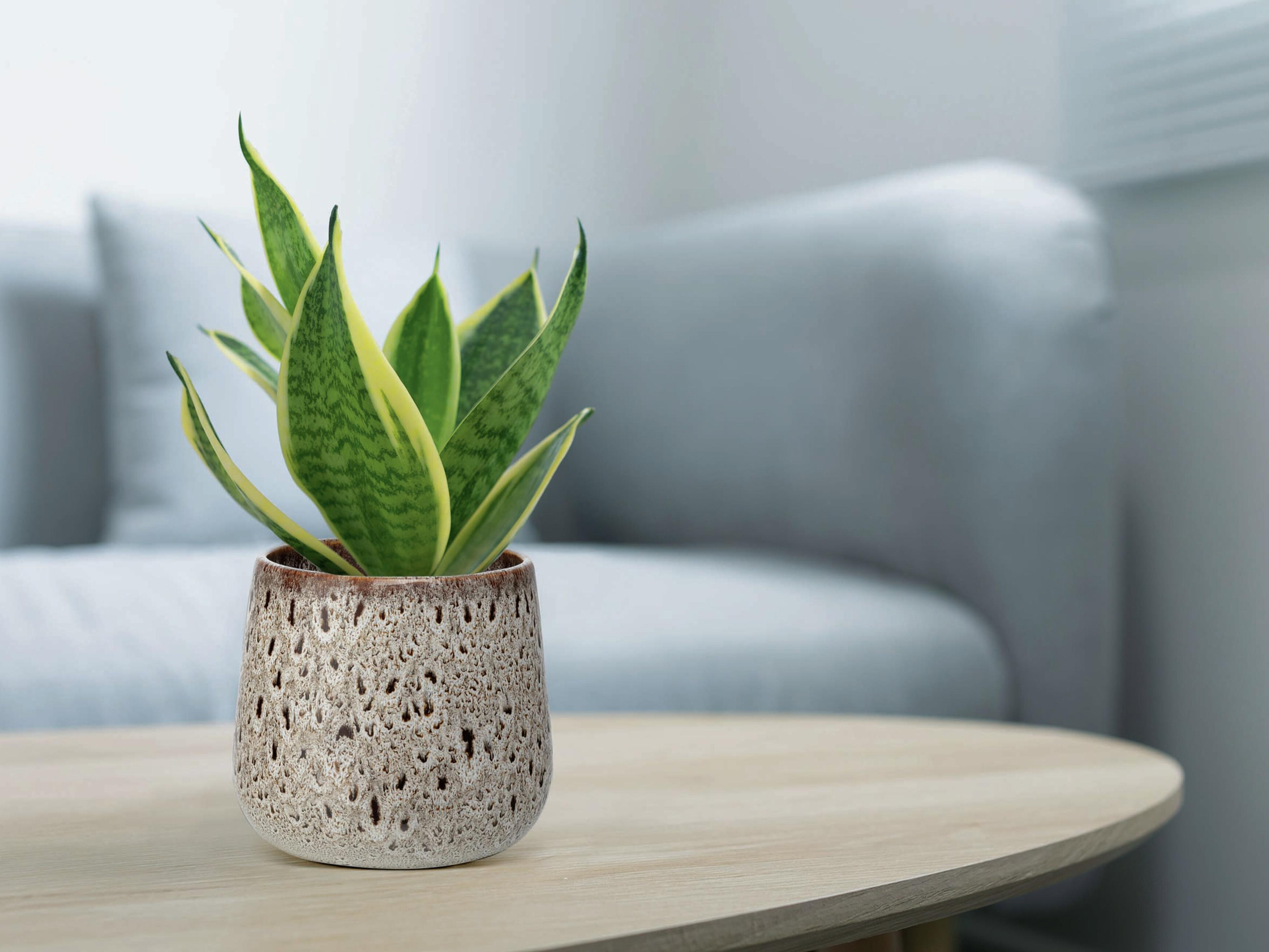 white indoor planter Distressed White-Gold Ceramic Floor Planter Large by Galore Home main image 1