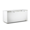 Thermaster 600L Chest Freezer with Stainless Steel Lid - BD750F