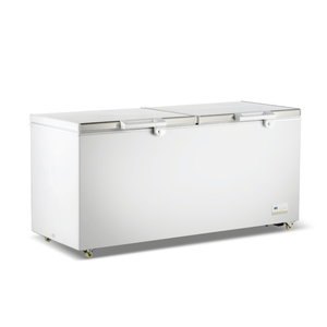 Thermaster 600L Chest Freezer with Stainless Steel Lid - BD750F