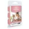 Spring Fresh Soy Wax Melt