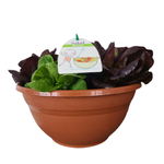 27cm Salad Bowl