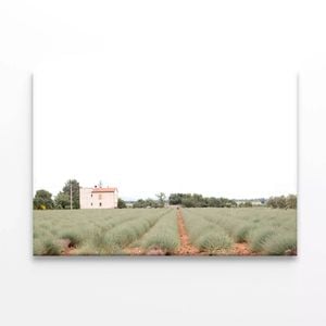 House In a Field with Grass  Print 100% Australian Made 75 x 50cm  (Stretched)
