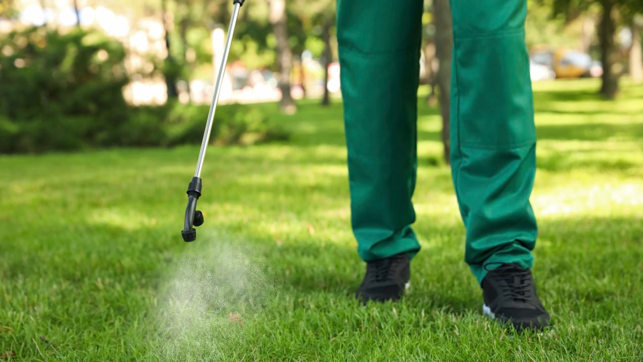 A person wearing green pants sprays treatment on grass.