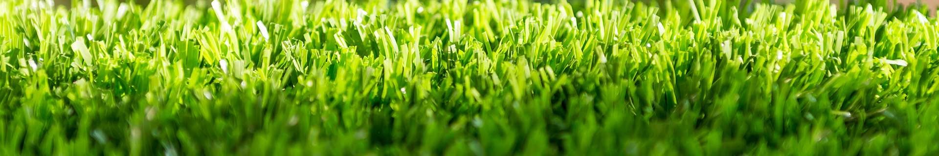 Close-up of well manicured lawn