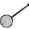 Freedom 5-string Banjo Full Size With Remo Head Sunburst