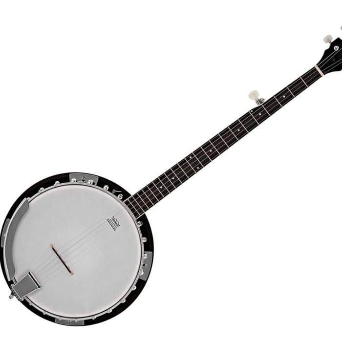 Freedom 5-string Banjo Full Size With Remo Head Sunburst