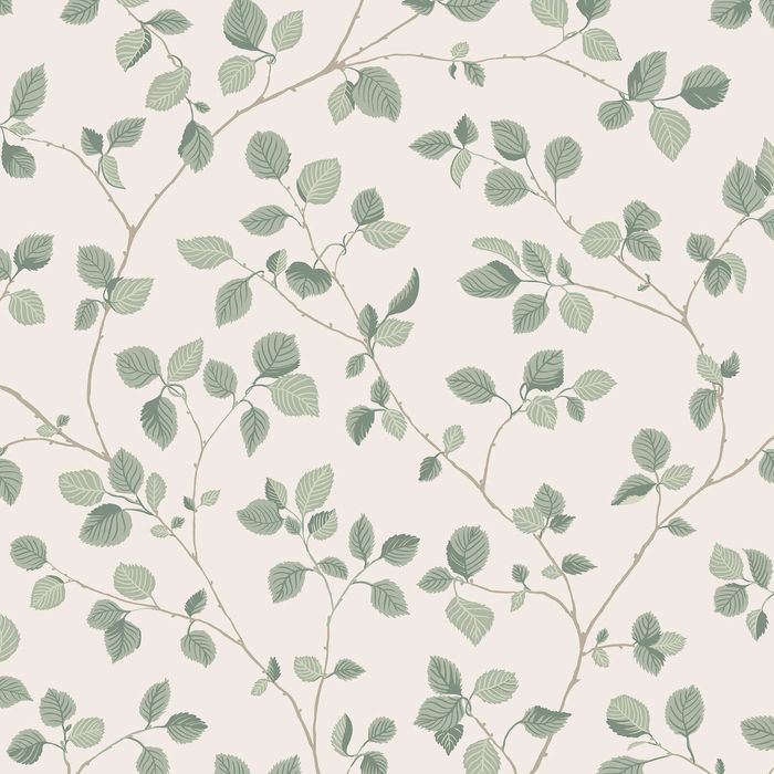 Wallpaper Trader Bokskog Wallpaper Roll 10.05m X 53cm, Green