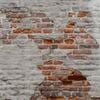 Lastolite Urban Collapsible Ba ckground 1.5x2.1m Rusty Metal / Plaster