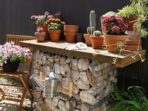 A completed gambion potting bench with trowel, stainless steel watering can and several potted succulents on top