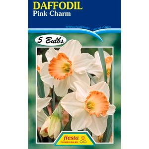 Fiesta Flower Bulbs Daffodil Pink Charm - 5 Bulbs