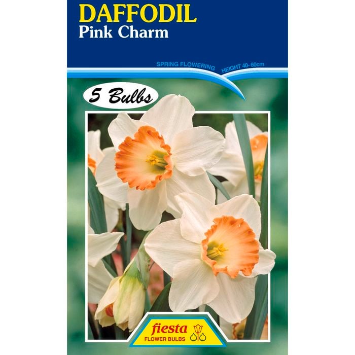Fiesta Flower Bulbs Daffodil Pink Charm - 5 Bulbs