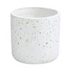 EDEN 12cm White Terrazzo Indoor Concrete Planter 