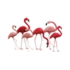 P&P Pink Vibrant Flamingo Flock Metal Wall Art with Tropical Coastal Design and Textured Detailing