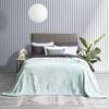Renee Taylor Plush Queen/King Blanket 380GSM Ultra Soft Velvet Blue