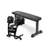 2x Powertrain 24kg Gold Adjustable Dumbbells w/ Stand and 10437  Bench