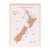 Splosh Caravan New Zealand Desk Map Travel Guide 38x28cm Home Decor