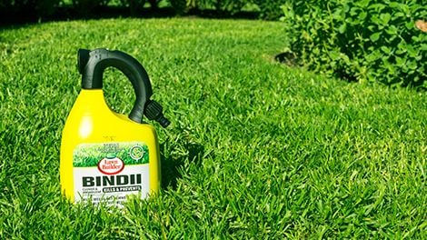 Bottle of weed killer