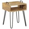 vidaXL Solid Mango Wood Bedside Table Storage Nightstand Couch Side Table