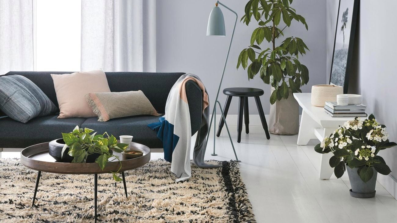 A living room with a charcoal couch, grey walls and a light blue lamp and potted plants.