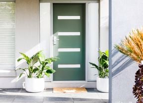 Freshly painted green front door with two potted plants either side.